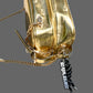 Gsuwoo Brinks Bag